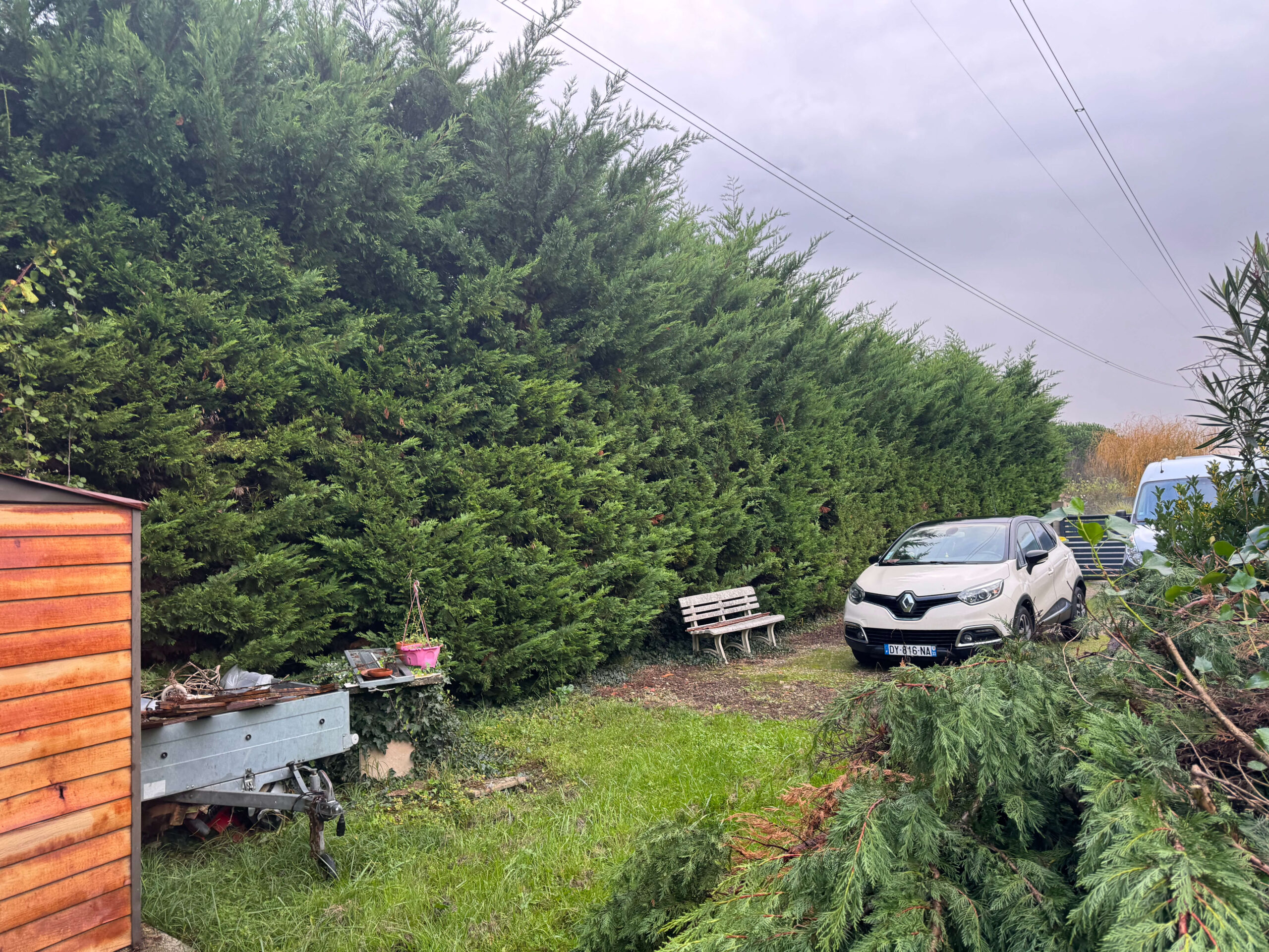 Plantation et entretien