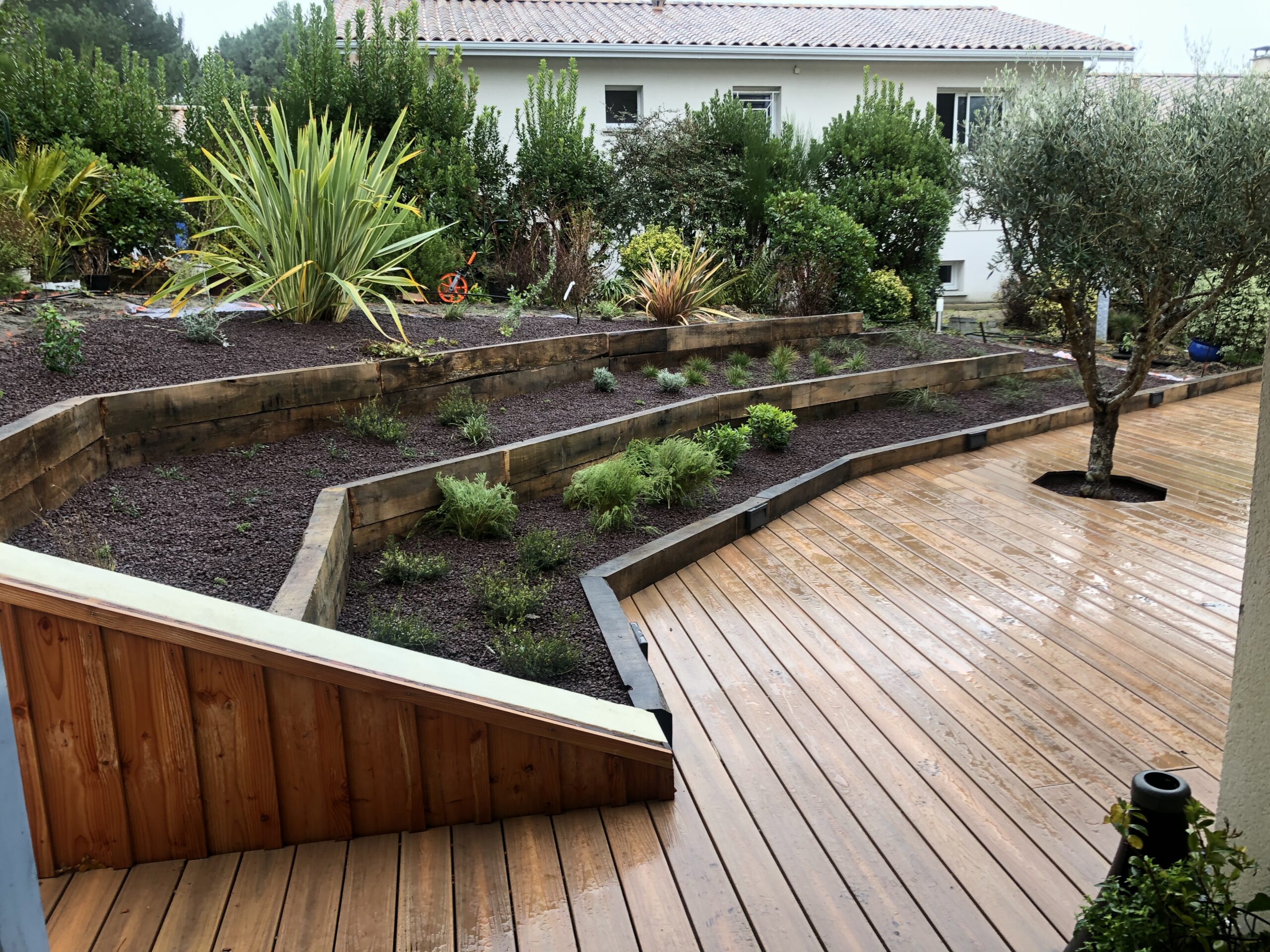 Cap Ferret - partie Haute espalier