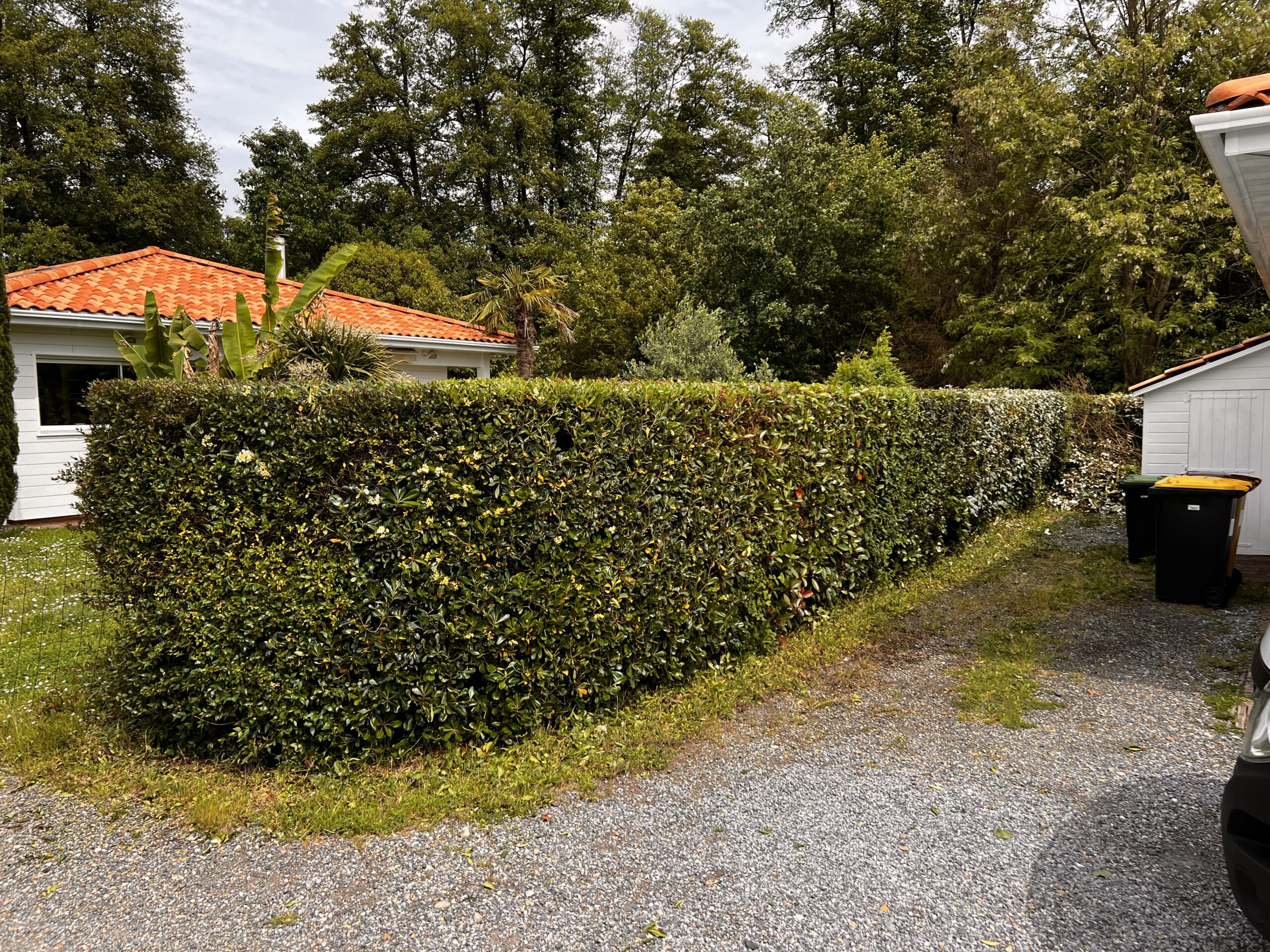 Plantation et entretien