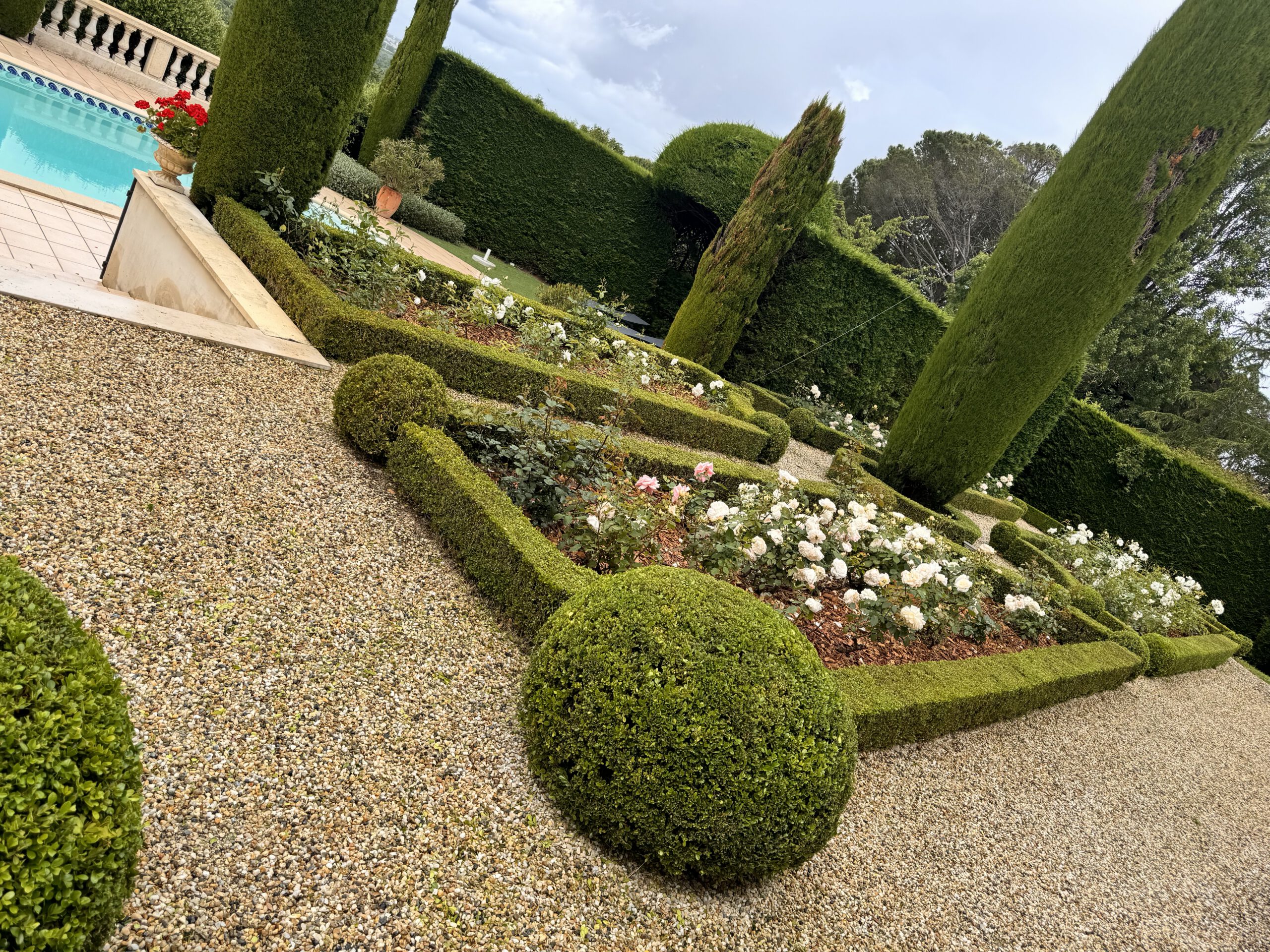 Plantation et entretien