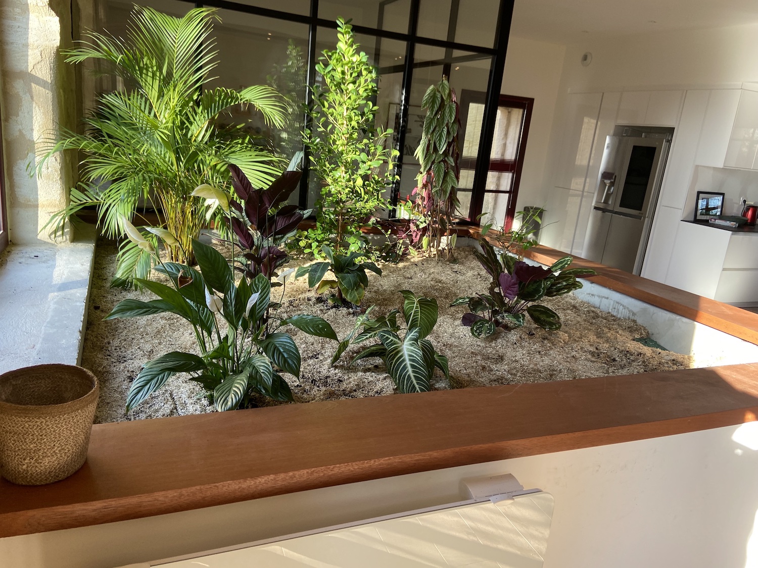 St Loubes - Création d'un jardin intérieur 2