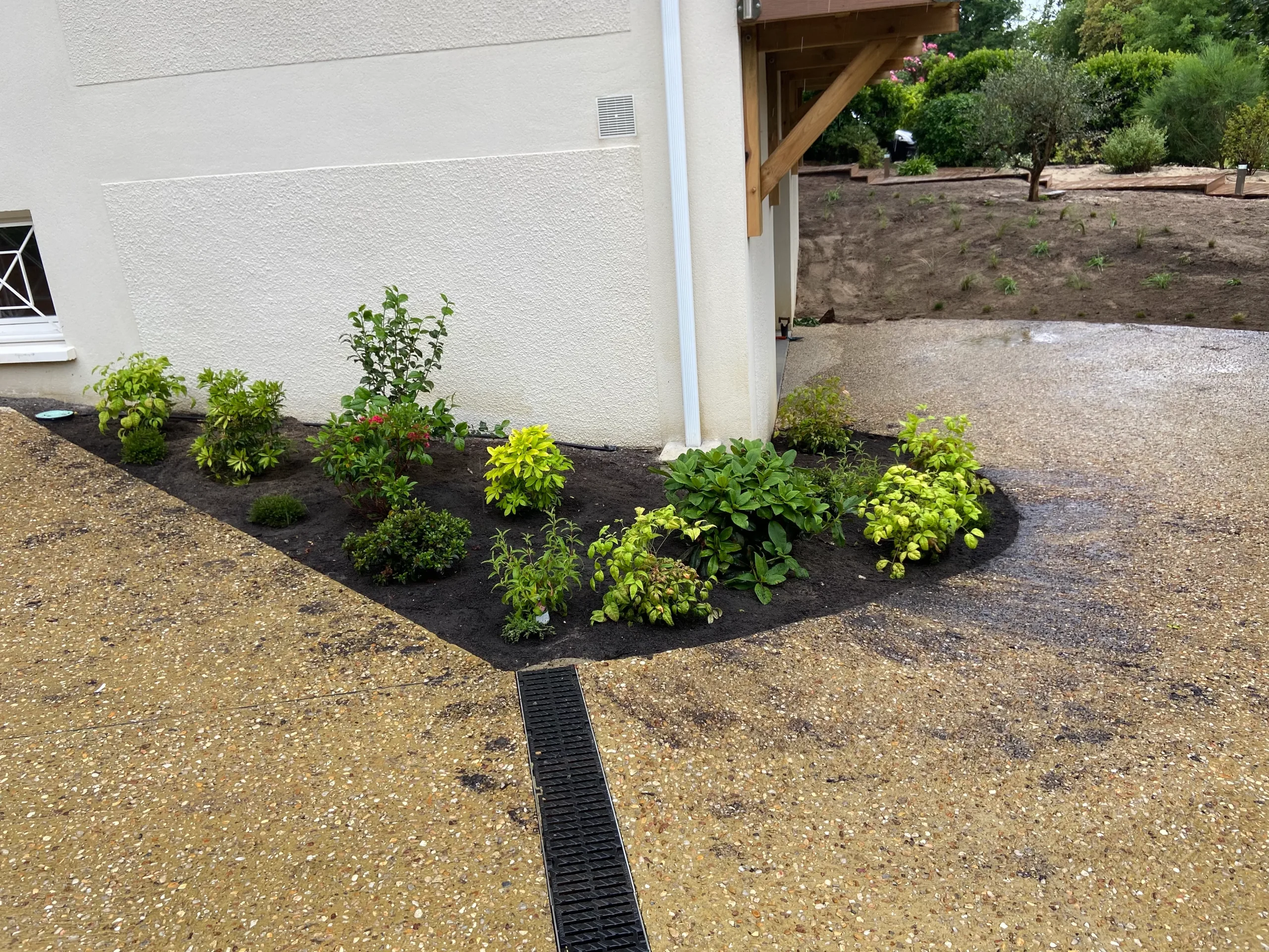 Cap Ferret - Création massif 2