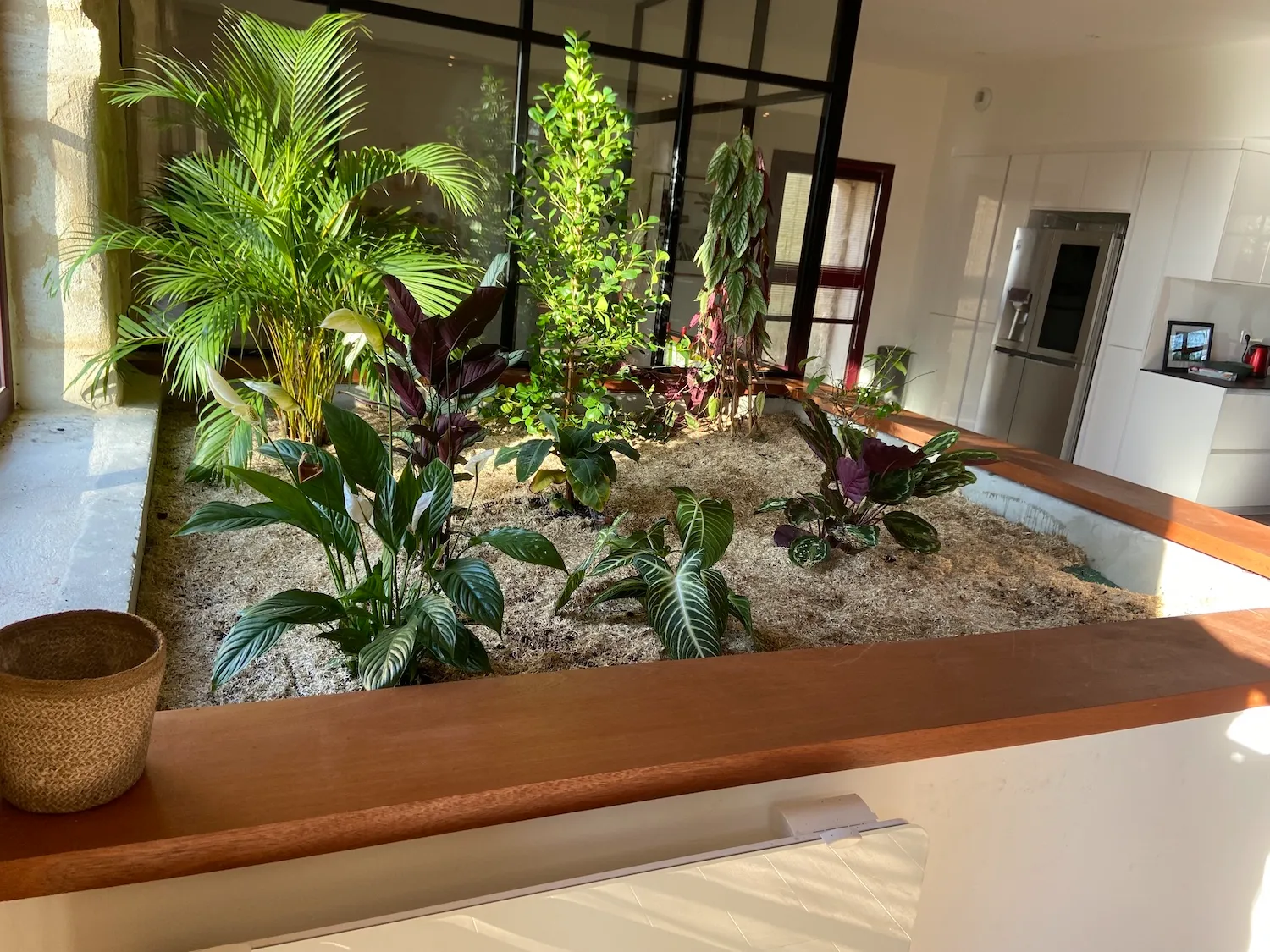 St Loubes - Création jardin d'intérieur