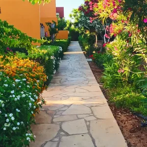creation-jardin